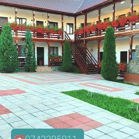 Hotel Cris & Mona Săpînţa Esterno foto