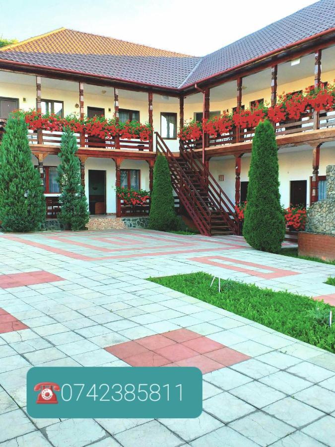 Hotel Cris & Mona Săpînţa Esterno foto