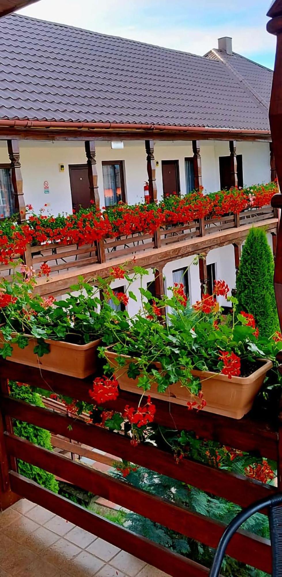 Hotel Cris & Mona Săpînţa Esterno foto