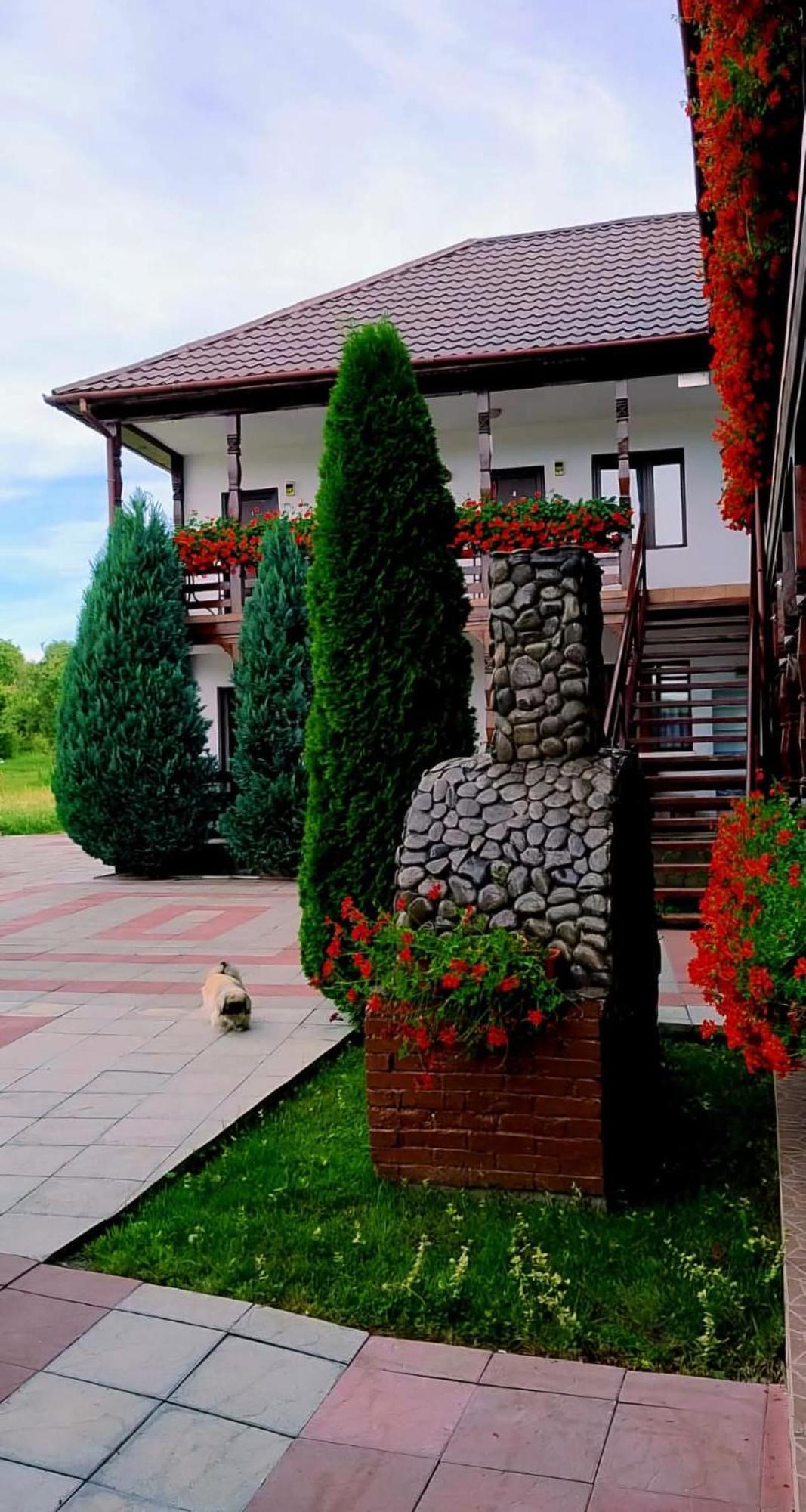 Hotel Cris & Mona Săpînţa Esterno foto